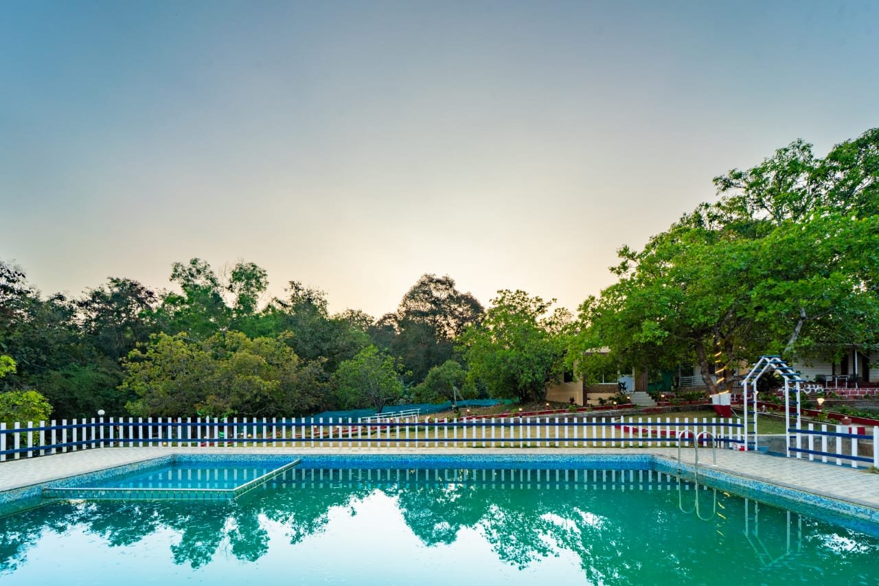 Jungle Resort swimming pool