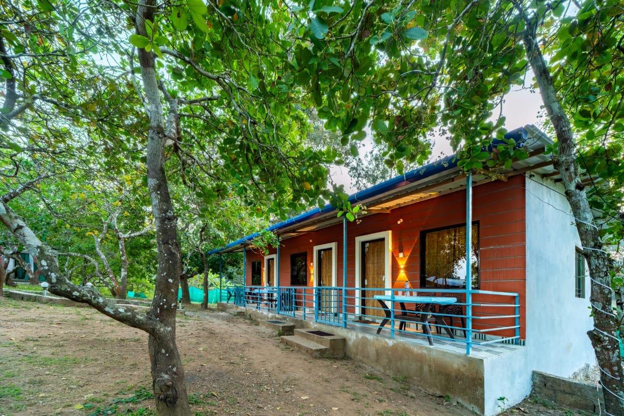 Jungle Resort cottage surrounded by trees
