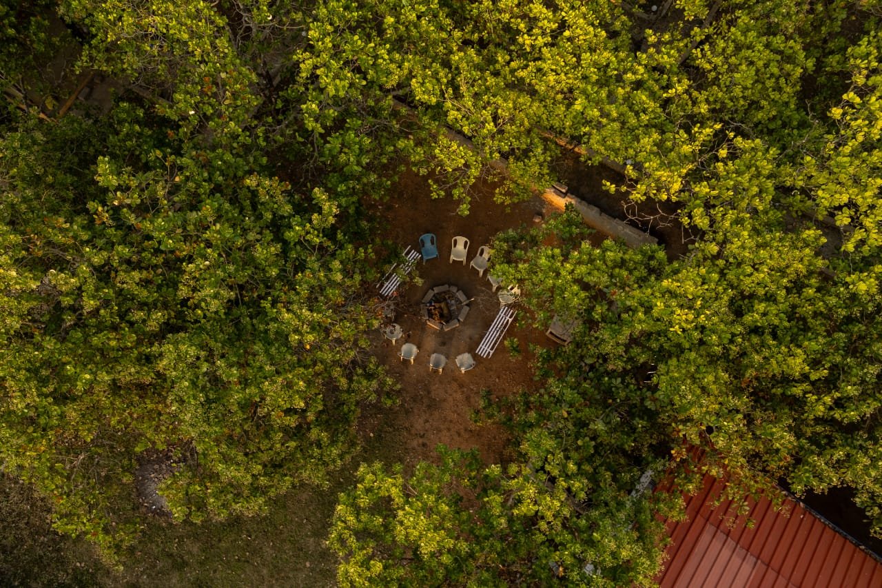 Campfire area surrounded by trees